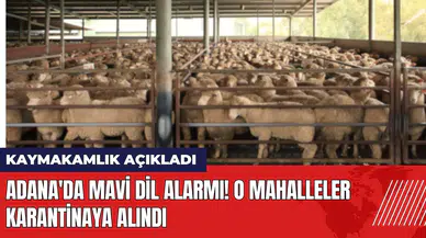 Adana'da mavi dil alarmı! O mahalleler karantinaya alındı