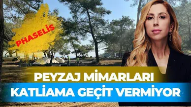 PEYZAJ MİMARLARI KATLİAMA GEÇİT VERMİYOR