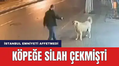 Köpeğe Silah Çekmişti Emniyet Affetmedi