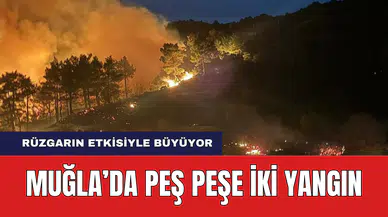 Muğla'da Peş Peşe İki Orman Yangını! Rüzgar Etkisini Sürdürüyor