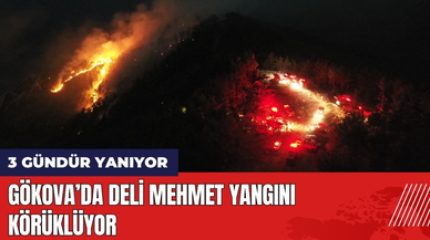 Gökova 3 Gündür Yanıyor! Deli Mehmet Yangını Körüklüyor