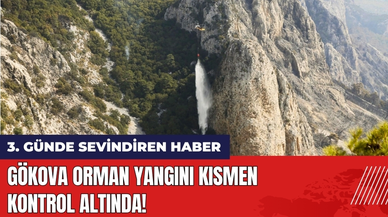 Gökova Orman Yangını Kısmen Kontrol Altında