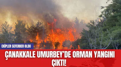 Çanakkale Umurbey’de Orman Yangını Çıktı! Ekipler Seferber Oldu