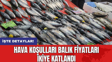 Hava Koşulları Balık Fiyatları İkiye Katlandı