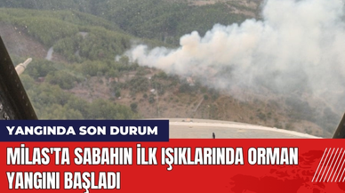 Milas'ta Sabahın İlk Işıklarında Orman Yangını Başladı