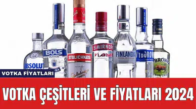 Votka Fiyatları: Votka Çeşitleri ve Fiyatları 2024