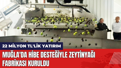 Muğla'da Hibe Desteğiyle 22 Milyon TL'lik Zeytinyağı Fabrikası Kuruldu
