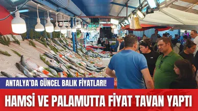 Antalya’da güncel balık fiyatları! Hamsi ve palamutta fiyat tavan yaptı