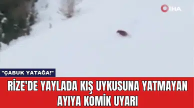 Rize'de Yaylada Kış Uykusuna Yatmayan Ayıya Komik Uyarı: "Çabuk Yatağa!"