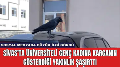 Sivas'ta Üniversiteli Genç Kadına Karganın Gösterdiği Yakınlık Şaşırttı