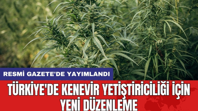 Türkiye'de Kenevir Yetiştiriciliği İçin Yeni Düzenleme