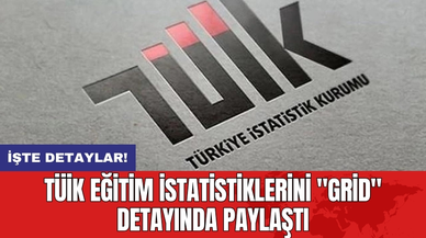 TÜİK Eğitim İstatistiklerini "Grid" Detayında Paylaştı