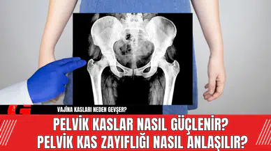 Pelvik Kaslar Nasıl Güçlenir? Pelvik Kas Zayıflığı Nasıl Anlaşılır?