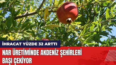 Nar Üretiminde Akdeniz Şehirleri Başı Çekiyor! İhracat Yüzde 32 Arttı