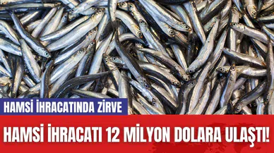 Hamsi İhracatı 12 Milyon Dolara Ulaştı! Hamsi İhracatında Zirve