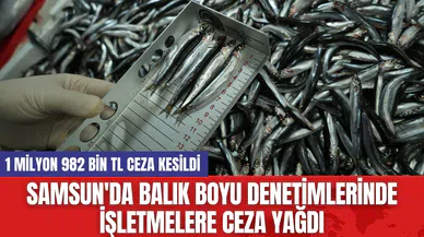 Samsun'da Balık Boyu Denetimlerinde İşletmelere Ceza Yağdı