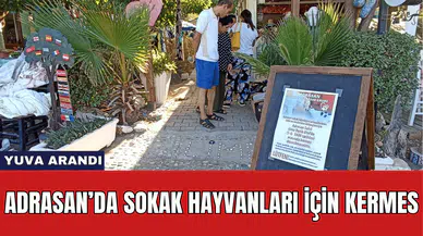 ADRASAN’DA SOKAK HAYVANLARI İÇİN KERMES