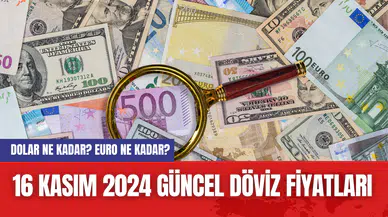 Dolar Ne Kadar? Euro Ne Kadar? 16 Kasım 2024 Güncel Döviz Fiyatları
