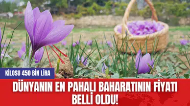 Dünyanın En Pahalı Baharatının Fiyatı Belli Oldu! Kilosu 450 Bin Lira