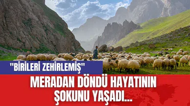 Meradan döndü hayatının şokunu yaşadı... "Birileri zehirlemiş"