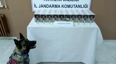 TÜTÜN TACİRLERİ YAKALANDI