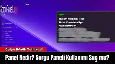 Panel Nedir? Sorgu Paneli Kullanımı Suç mu?