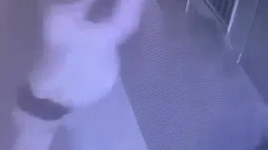 Vicdansızlık! Sever gibi yapıp süpürgeyle dövdü