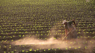 TÜİK: Tarımsal Girdi Fiyatları yüzde 9,05 arttı