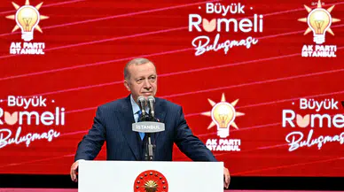 Cumhurbaşkanı Erdoğan: Hani siz demokrattınız?