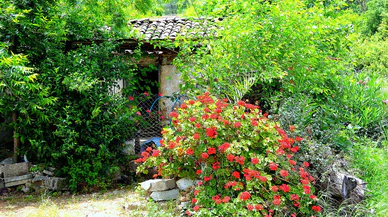 ALAYLI bir bahar masalı….