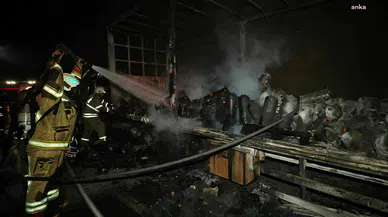 TIR yangını: 31 yaralı