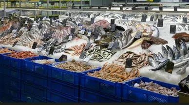 TÜİK: Su ürünleri üretimi 2022 yılında yüzde 6,2 arttı