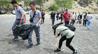 Caretta carettalara 5 Haziran hediyesi