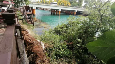 Şiddetli rüzgara direnemedi