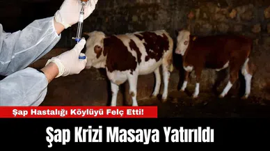 Şap Hastalığı Köylüyü Felç Etti!  Şap Krizi Masaya Yatırıldı