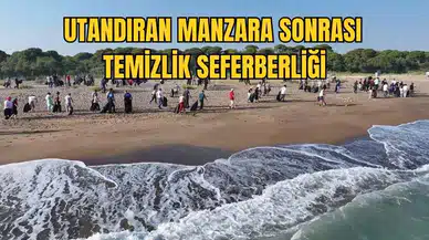 Kaplumbağaların Yuvalama Alanı Kumköy Sahili Çöpten Arındırıldı