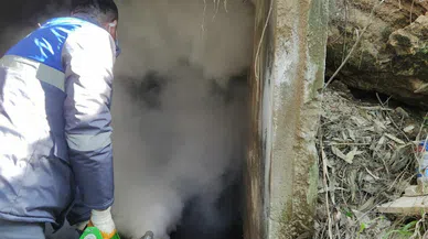 Yetersiz ilaçlamaya tepki yağdı