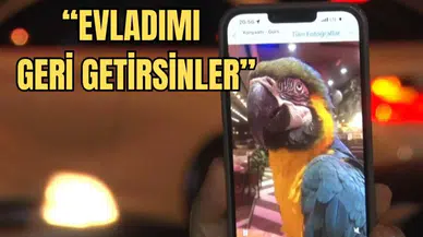 Turgut Özal’ın 28 Yıllık Papağanı Cabbar Antalya’da İkinci Kez Çalındı