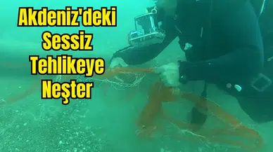 Hayalet Ağlar Temizlendi, 1.5 Milyon Canlı Kurtuldu