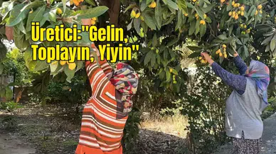 Alanya'da Meyveler Dalında Kalmasın Diye Canlı Yayın Yaptı