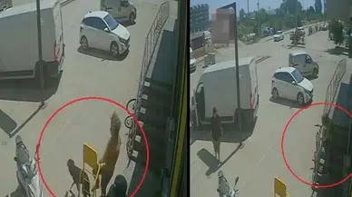 Savaştan Kaçıp Antalya’da Hayvan Canisi Oldu