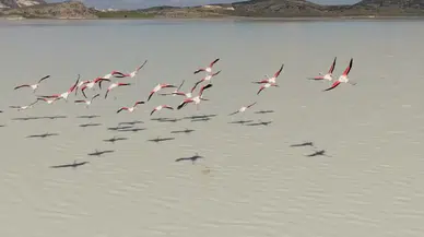 Burdur’un Kuruyan Yarışlı Gölü Canlandı: Flamingolar Geri Döndü