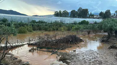 Mersin’i Sel Vurdu, Çiftçi Çaresiz Kaldı! "Kendi İmkanımızla Direniyoruz"