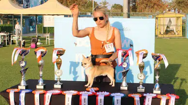 Antalya'daki Uluslararası Yarışmada Aladar Türkiye Şampiyonu Oldu