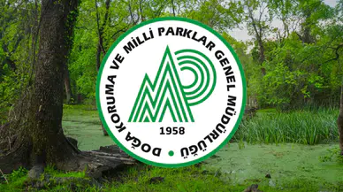 Milli Parklar' dan Personel Alımı: Başvuru İçin Son 3 Gün