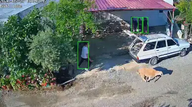 Mersin'de Kaçan Kurbanlıklar Seraları ve Üst Geçidi Birbirine Kattı