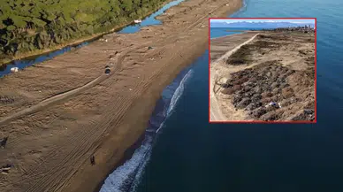Kumköy Sahili'nde 1500 Lağım Çukuru: Suç Duyurusunda Bulunuldu