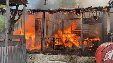 Erdemli'de Yayla Evinde Yangın: Ahşap Baraka Dakikalar İçinde Küle Döndü