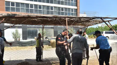 Antalya'da Korkulan Olmadı: Halk Sağlığını Tehdit Edenlere Ceza!