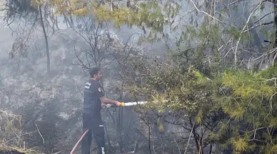 Antalya Aksu’da Ormanlık Alanda Yangın Paniği: Ekipler Seferber Oldu